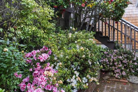 128 Peralta Ave, Mill Valley, CA 94941 photo 26