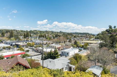 6 Robertson Ter, Mill Valley, CA 94941 photo 39