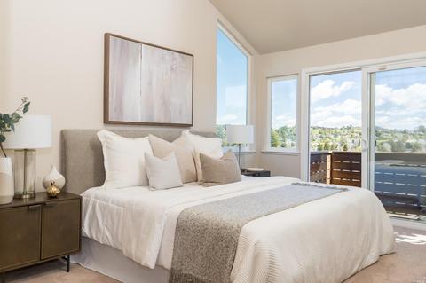 6 Robertson Ter, Mill Valley, CA 94941 photo 20