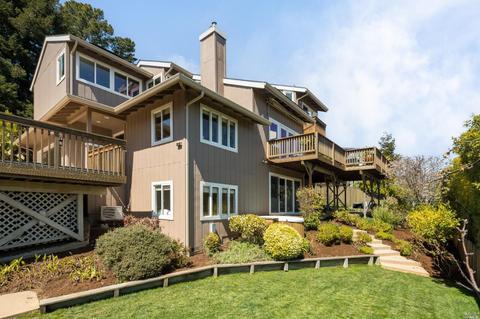 6 Robertson Ter, Mill Valley, CA 94941 photo 35