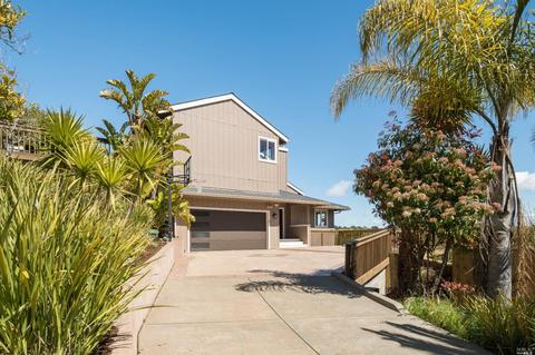 6 Robertson Ter, Mill Valley, CA 94941 photo 41