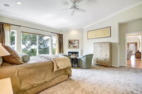 184 Stone Mountain Cir, Napa, CA 94558 photo 19