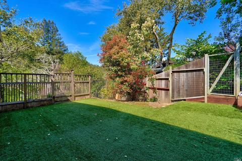 48 Stetson Ave, Corte Madera, CA 94925 photo 40