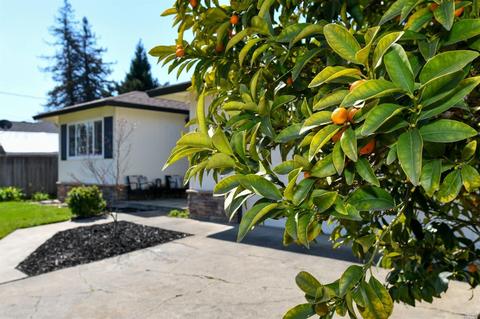2544 Macgregor Ct, Napa, CA 94558 photo 3