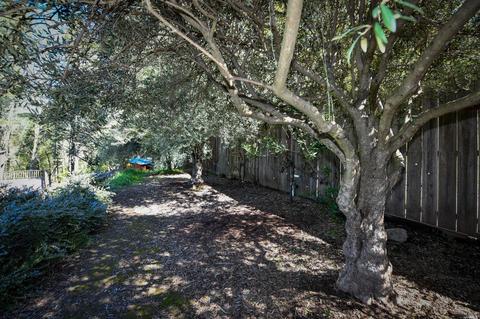 5142 Sharp Rd, Calistoga, CA 94515 photo 49