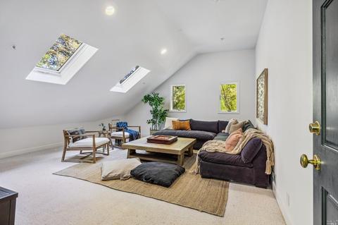 267 Rose Ave, Mill Valley, CA 94941 photo 40