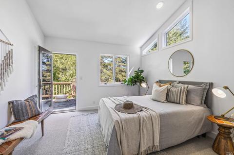 267 Rose Ave, Mill Valley, CA 94941 photo 29