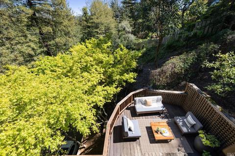 267 Rose Ave, Mill Valley, CA 94941 photo 45