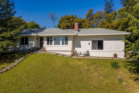 447 Gossage Ave, Petaluma, CA 94952