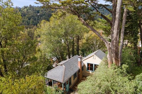 119 Cornelia Ave, Mill Valley, CA 94941 photo 36