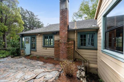 119 Cornelia Ave, Mill Valley, CA 94941 photo 25
