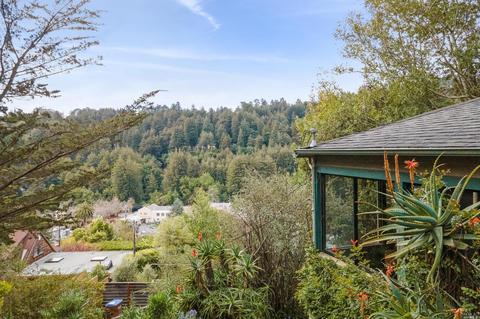 119 Cornelia Ave, Mill Valley, CA 94941 photo 3