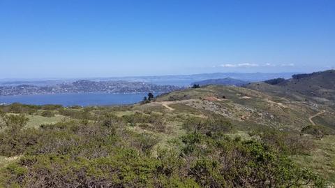 109 Cloud View Trl, Sausalito, CA 94965 photo 34