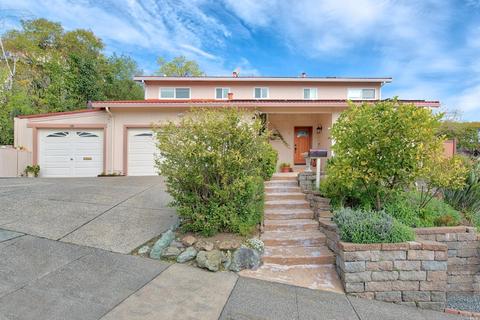 10 Elda Dr, San Rafael, CA 94903 photo 42