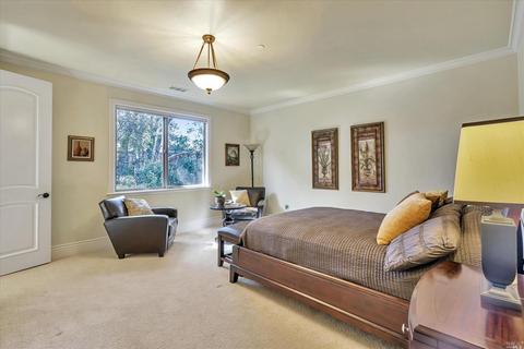 428 Cayetano Ct, Windsor, CA 95492 photo 55