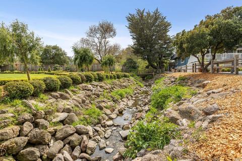 1115 Eucalyptus Rd, Petaluma, CA 94952 photo 32
