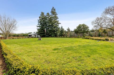 1115 Eucalyptus Rd, Petaluma, CA 94952 photo 36