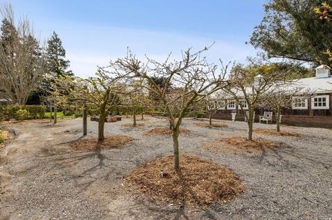 1115 Eucalyptus Rd, Petaluma, CA 94952 photo 47