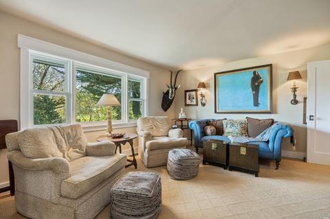 1115 Eucalyptus Rd, Petaluma, CA 94952 photo 18