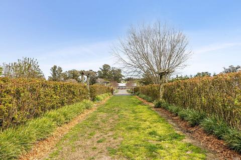 1115 Eucalyptus Rd, Petaluma, CA 94952 photo 33