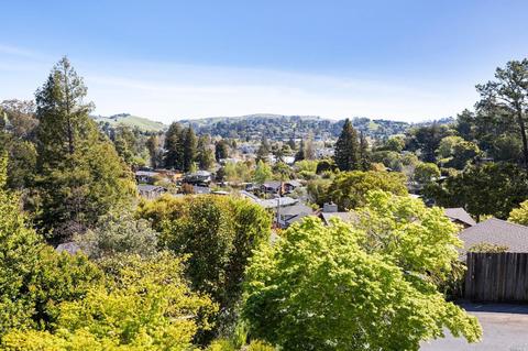206 Chapman Rd, Mill Valley, CA 94941 photo 31