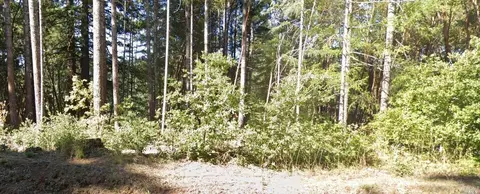 25124 Sherwood Rd, Willits, CA 95490