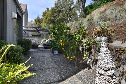 535 Fieldcrest Dr, Healdsburg, CA 95448 photo 21