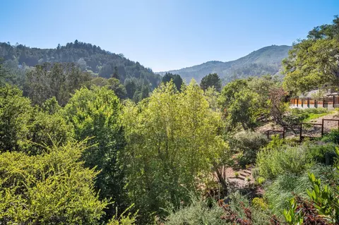 516 Throckmorton Ave, Mill Valley, CA 94941 photo 99