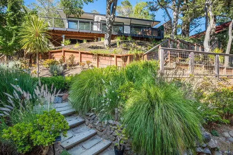 516 Throckmorton Ave, Mill Valley, CA 94941 photo 69