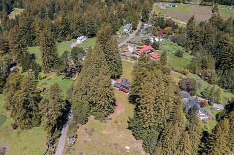 3565 Joy Rd, Occidental, CA 95465 photo 33