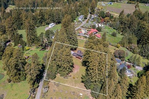 3565 Joy Rd, Occidental, CA 95465 photo 32
