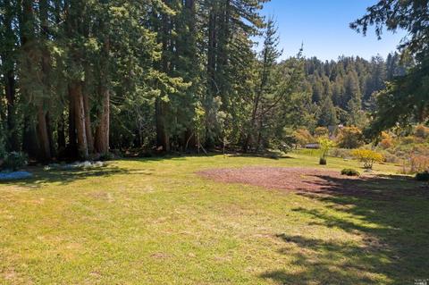3565 Joy Rd, Occidental, CA 95465 photo 40
