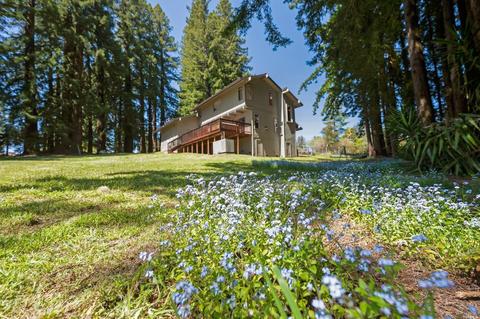 3565 Joy Rd, Occidental, CA 95465 photo 43