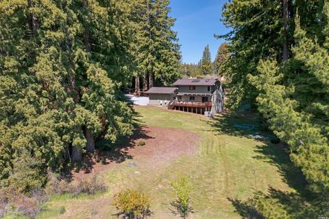 3565 Joy Rd, Occidental, CA 95465 photo 37