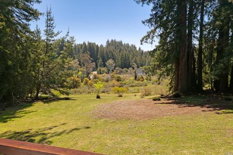 3565 Joy Rd, Occidental, CA 95465 photo 39
