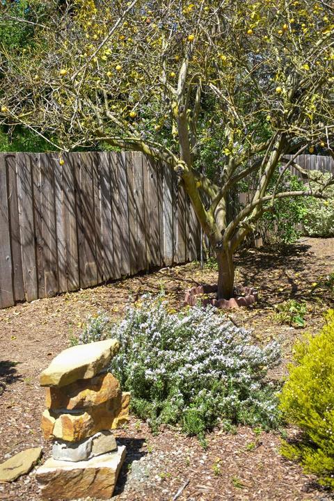 Undisclosed, Vallejo, CA 94591 photo 35