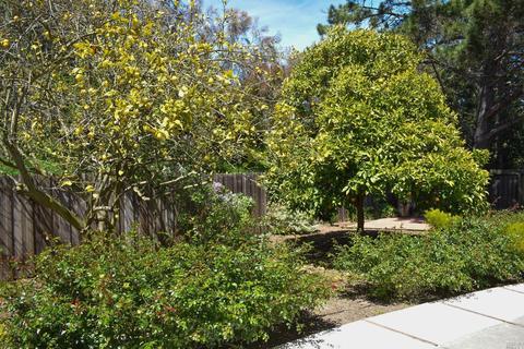 Undisclosed, Vallejo, CA 94591 photo 36