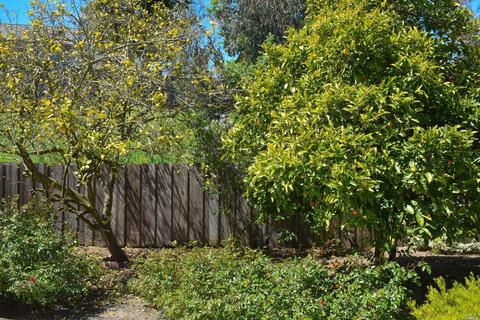 Undisclosed, Vallejo, CA 94591 photo 37