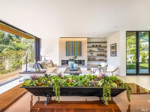 351 Lovell Ave, Mill Valley, CA 94941 photo 28