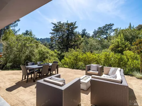 351 Lovell Ave, Mill Valley, CA 94941 photo 69