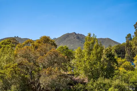 351 Lovell Ave, Mill Valley, CA 94941 photo 24