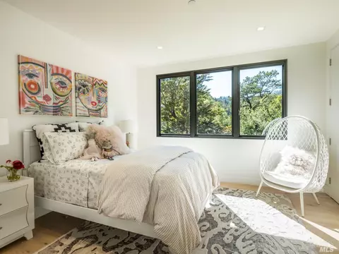 351 Lovell Ave, Mill Valley, CA 94941 photo 60