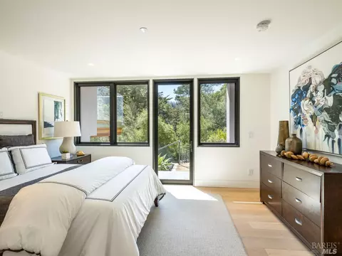351 Lovell Ave, Mill Valley, CA 94941 photo 66