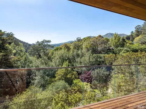 351 Lovell Ave, Mill Valley, CA 94941 photo 23