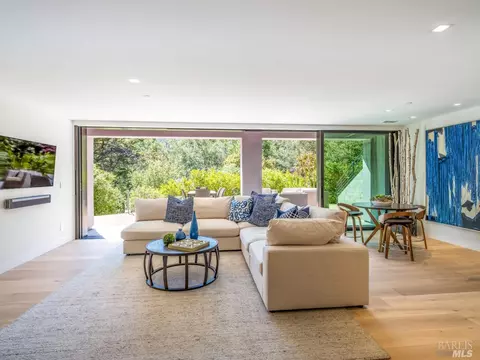 351 Lovell Ave, Mill Valley, CA 94941 photo 62
