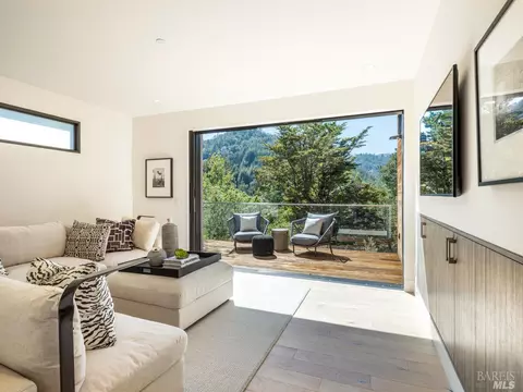 351 Lovell Ave, Mill Valley, CA 94941 photo 35