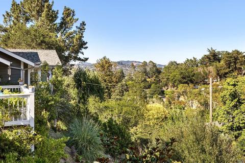 481 Montecito Ave, Corte Madera, CA 94925 photo 6