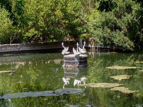 41 Temelec Cir, Sonoma, CA 95476 photo 32
