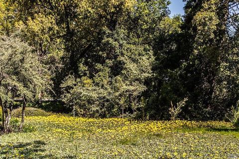 41 Temelec Cir, Sonoma, CA 95476 photo 28