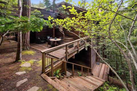 21 Renz Rd, Mill Valley, CA 94941 photo 68